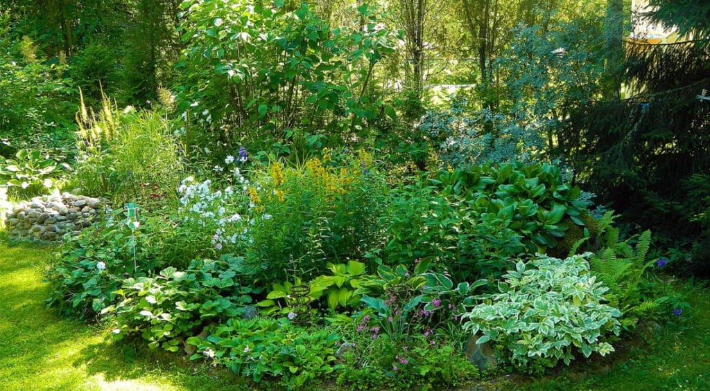 LAYER Gartentipps: Tipps für den kleinen Garten