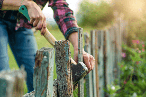 Instandhaltung Immobilie Garten Zaun Außenflächen