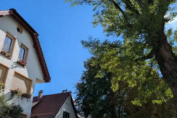 Gelbes Haus und Bäume