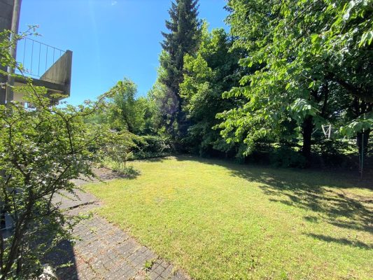 Garten im Sommer