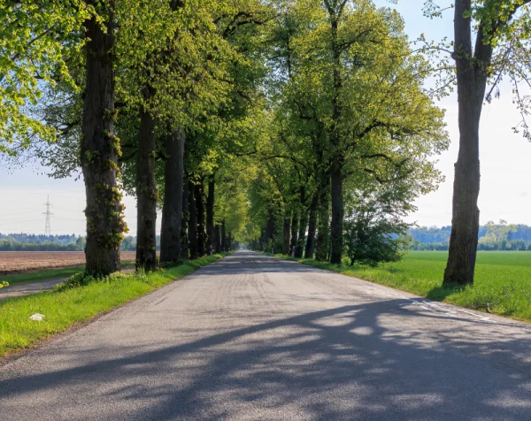 augsburg-goegginen-wellenburger-allee