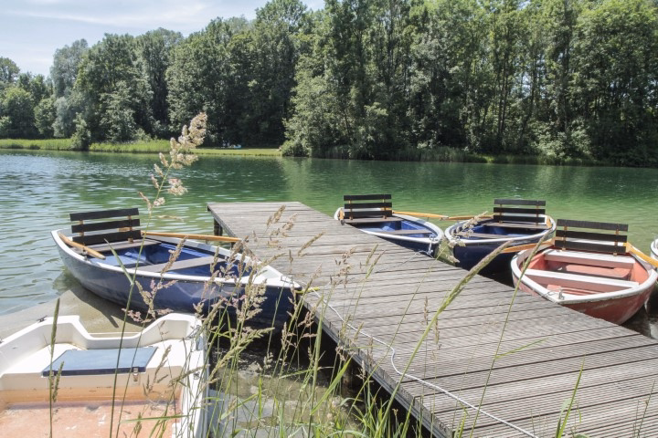 kuhsee - Zwischen Kuhsee und Stadtwald – lichtdurchflutete Wohnung mit Wohlfühlcharakter