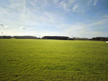 Ausblick von der Terrasse - Zukunftssicheres Gewerbegrundstück für individuelle Nutzungskonzepte in Türkheim