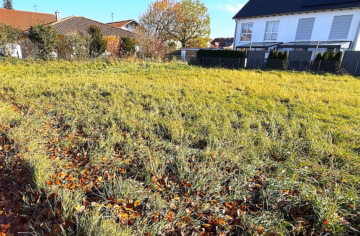 Schönes Eck-Grundstück in Wehringen - Schönes Eck-Grundstück, für ein Traumhaus nach Ihren Wünschen und Vorstellungen, in Wehringen kaufen